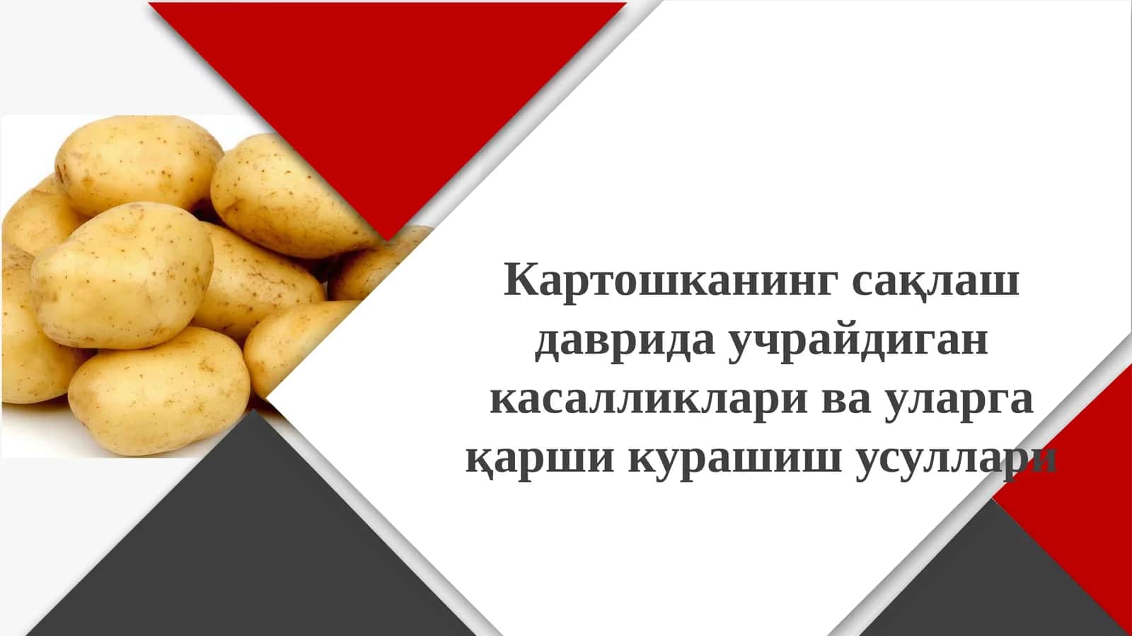 Картошка