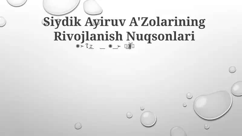 Siydik Ayiruv A'Zolarining Rivojlanish Nuqsonlari