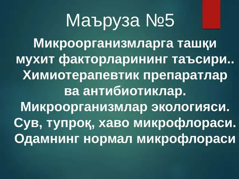 tashqi muhitni mikroorganizmlarga tasiri