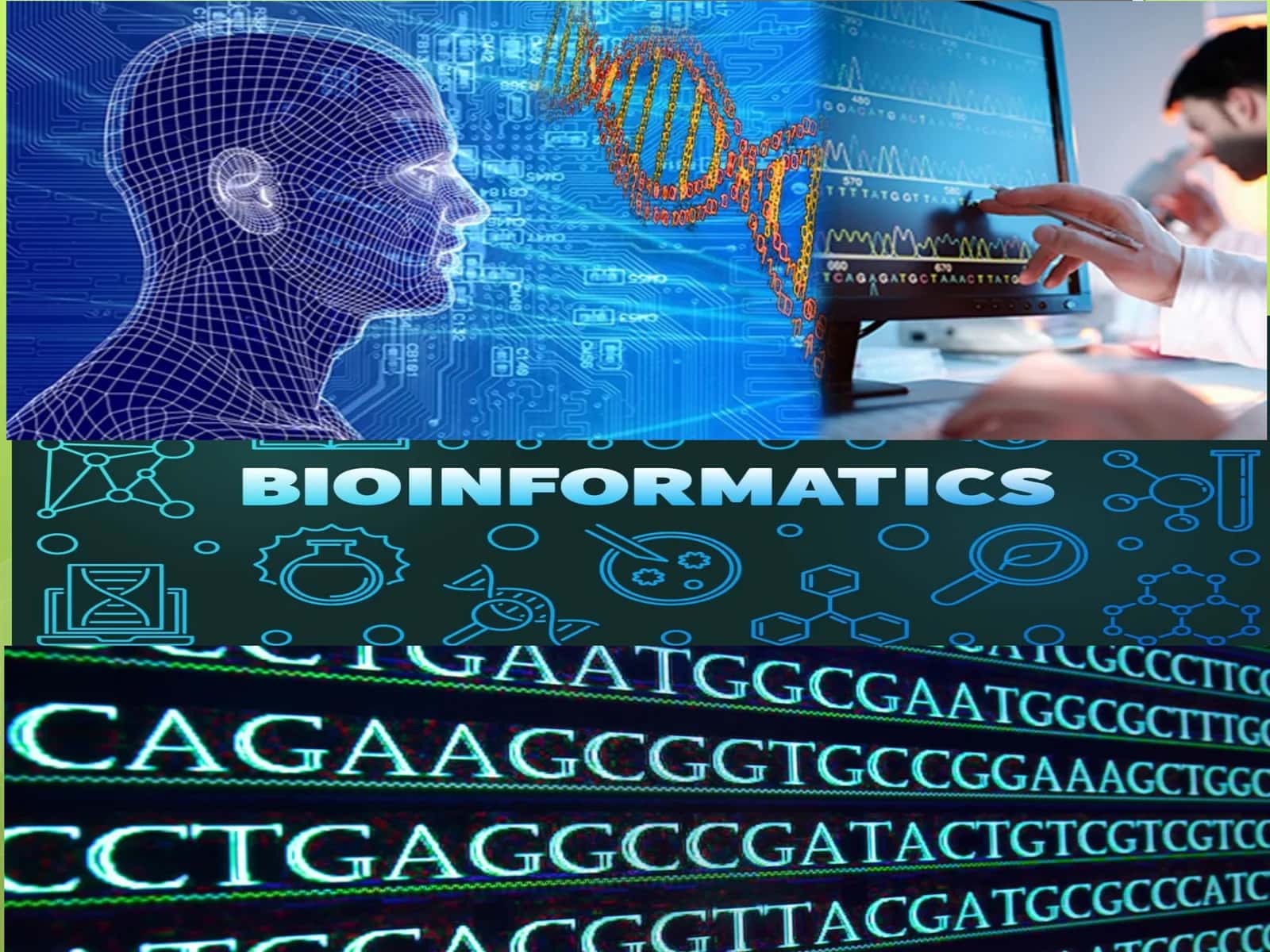 Bioinformatika faniga kirish