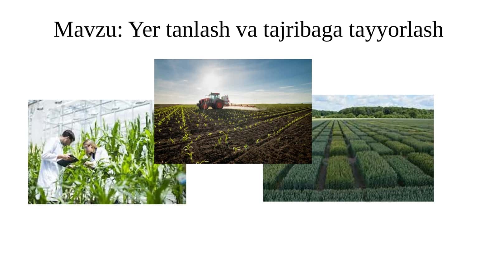 Yertanlashvatajribagatayyorlash