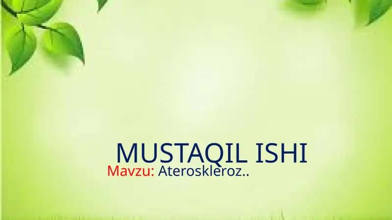 MUSTAQIL ISHI