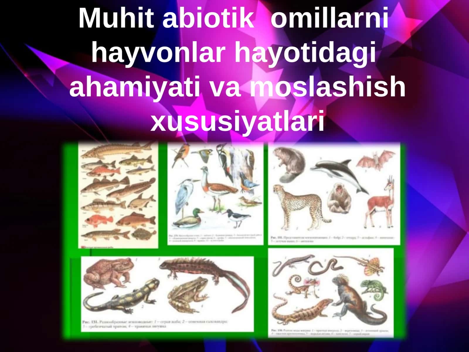 Muhitabiotik omillar hayvonlar hayotidagi ahamiyati va moshish xususiyatlari