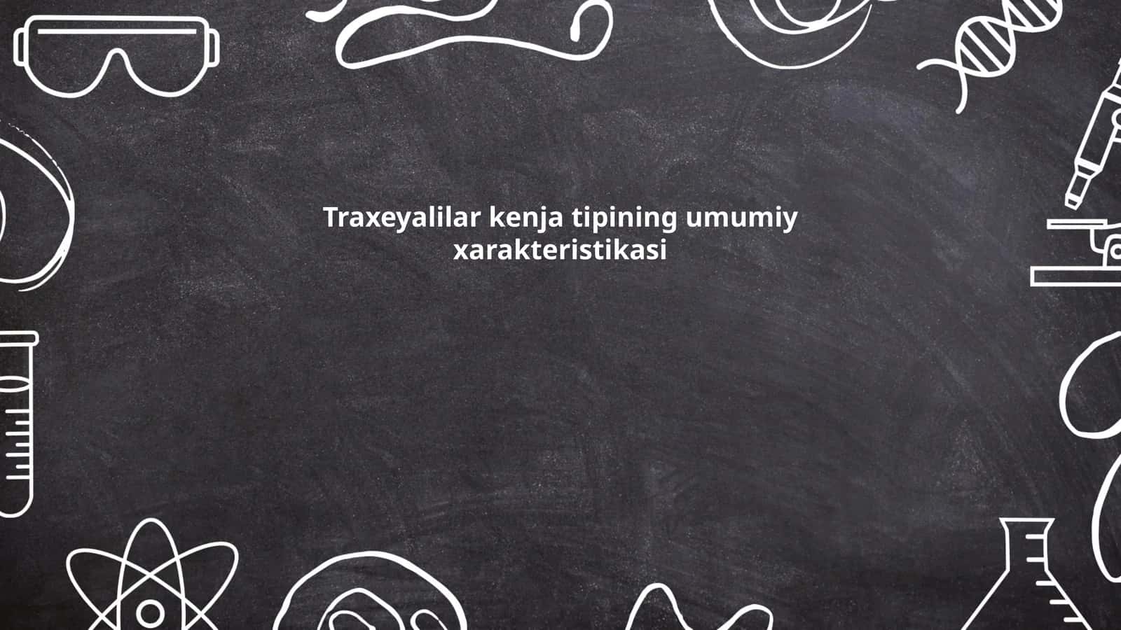 Traxeyalilar kenja tipining umumiy xarakteristikasi