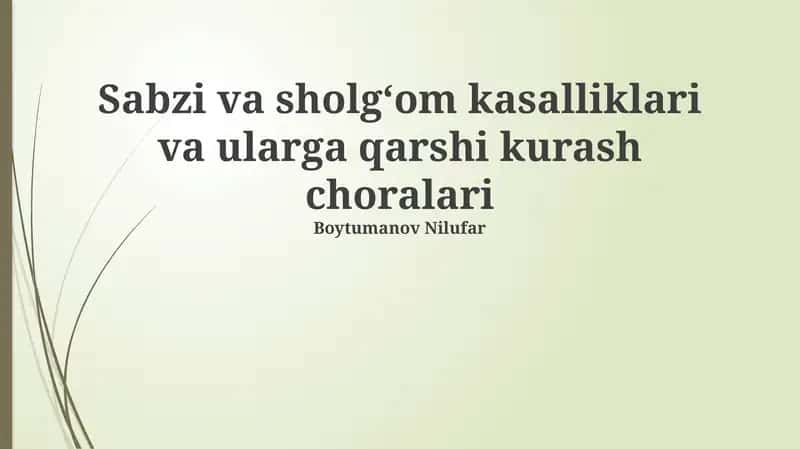 Sabzi va sholgʻom kasalliklari va ularga qarshi kurash choralari