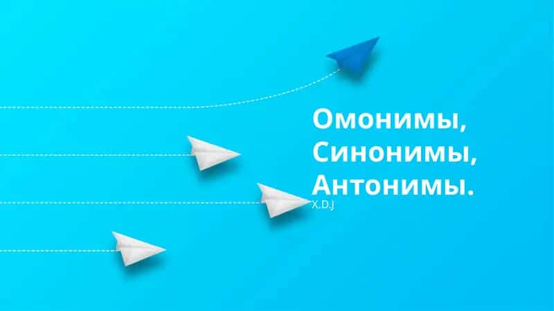 Омонимы, Синонимы, Антонимы
