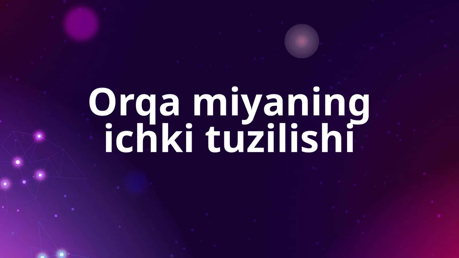 Orqamiyaningichkituzilishi