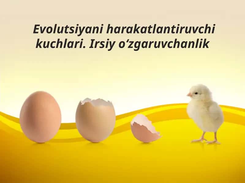 Evolutsiyani harakatlantiruvchi kuchlari. Irsiy o‘zgaruvchanlik