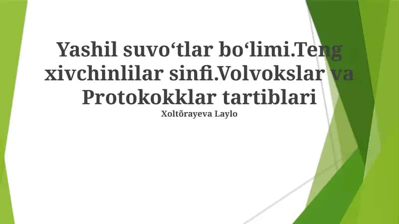 Volvokslar va Protokokklar tartiblari