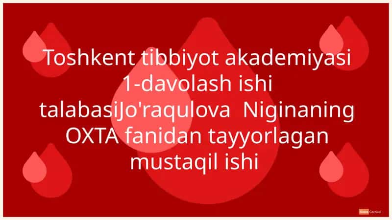 Orqa miya churralarining anatomik tuzilishi va funktsiyalari