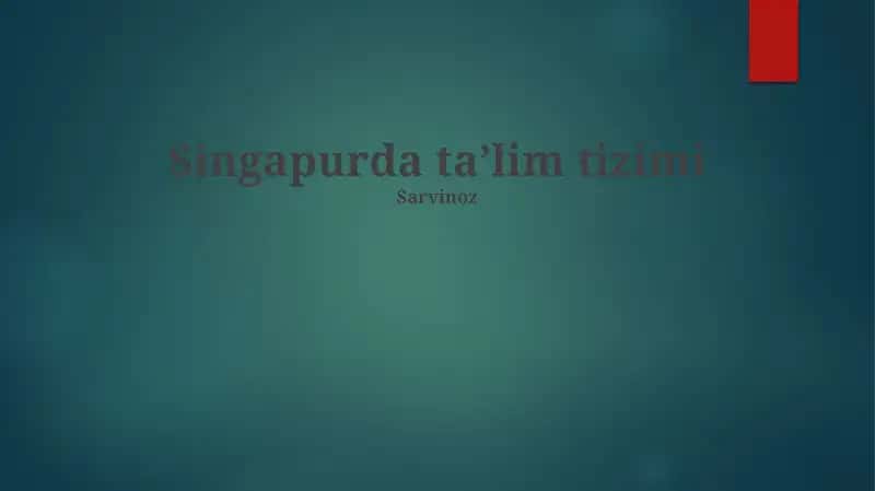 Singapurda taʼlim tizimi