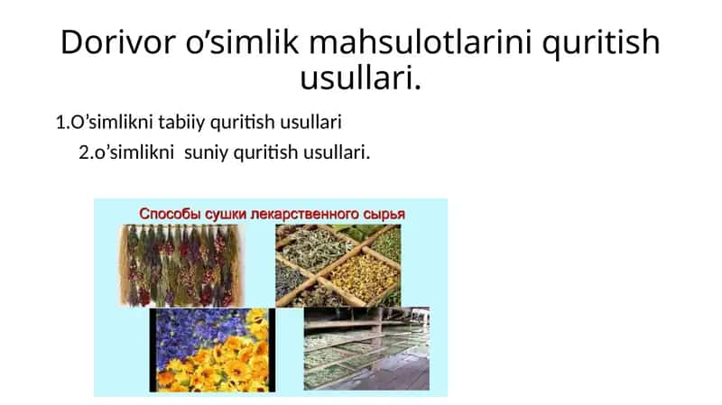 Dorivor o’simlik mahsulotlarini quritish usullari.