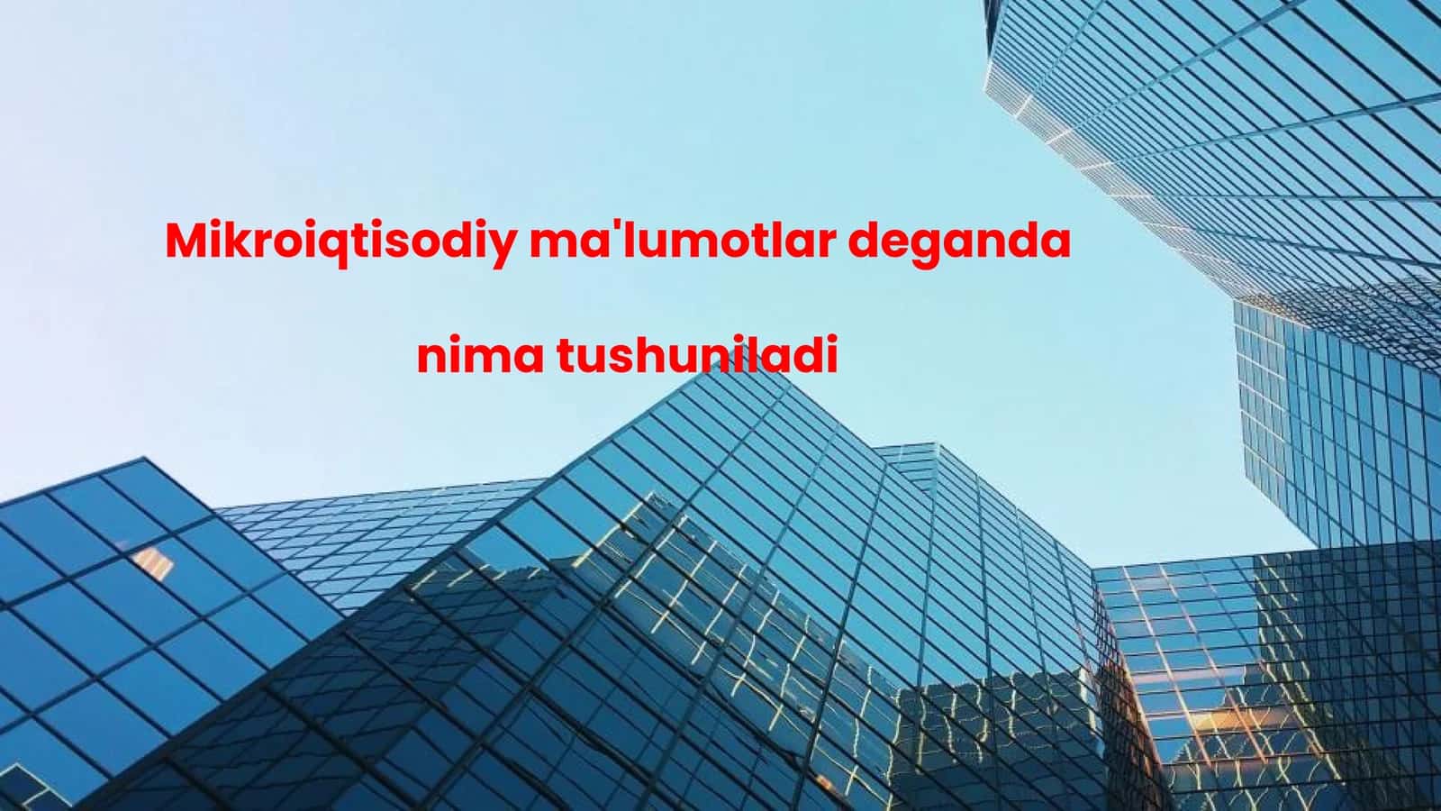 Mikroiqtisodiy ma'lumotlar