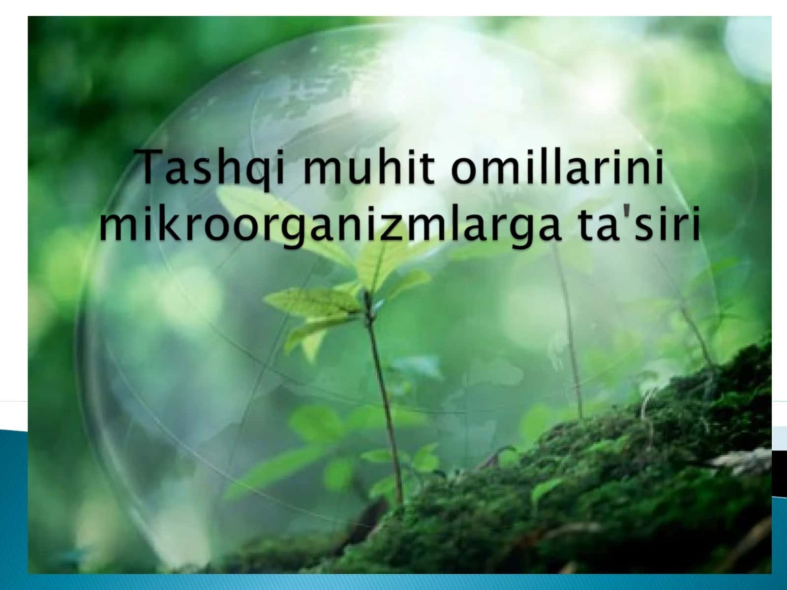 Mikroorganizmlarning hayot faoliyatiga ta'sir etuvchi tashqi muhit omillari