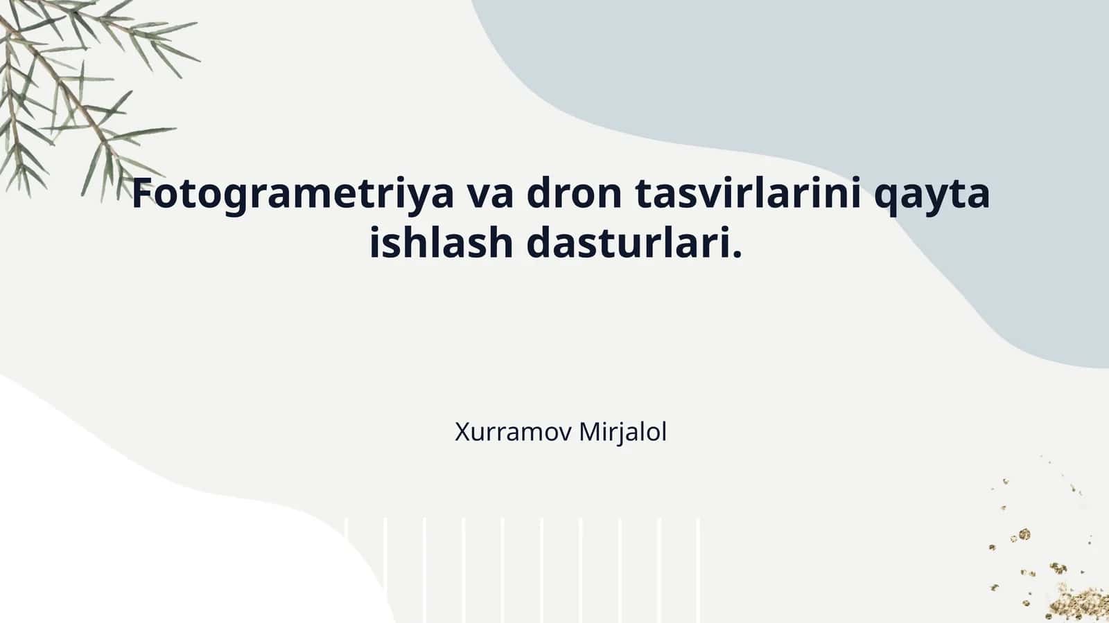Fotogrametriya va dron tasvirlarini qayta ishlash dasturlari.