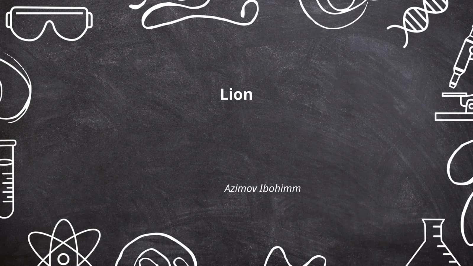 Lion