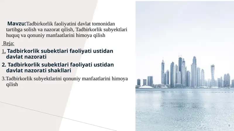 Tadbirkorlik faoliyatini davlat tomonidan tartibga solish va nazorat qilish