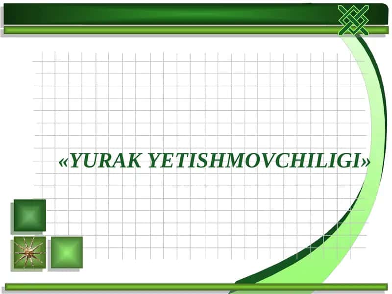 YURAKYETISHMOVCHILIGI