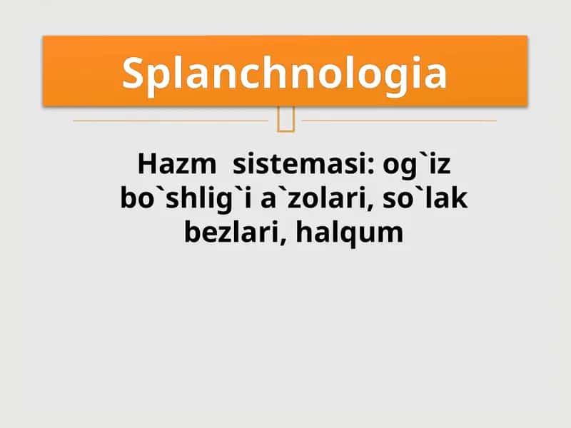 Hazm sistemasi: og`iz bo`shlig`i a`zolari, so`lak bezlari, halqum