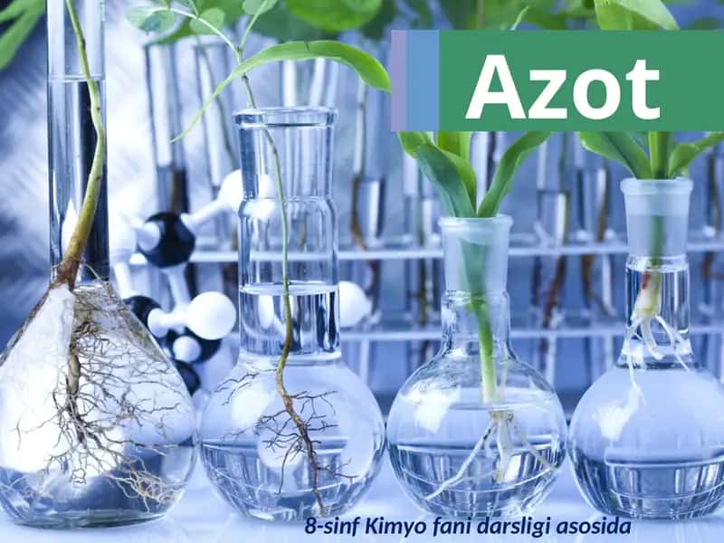 Azot