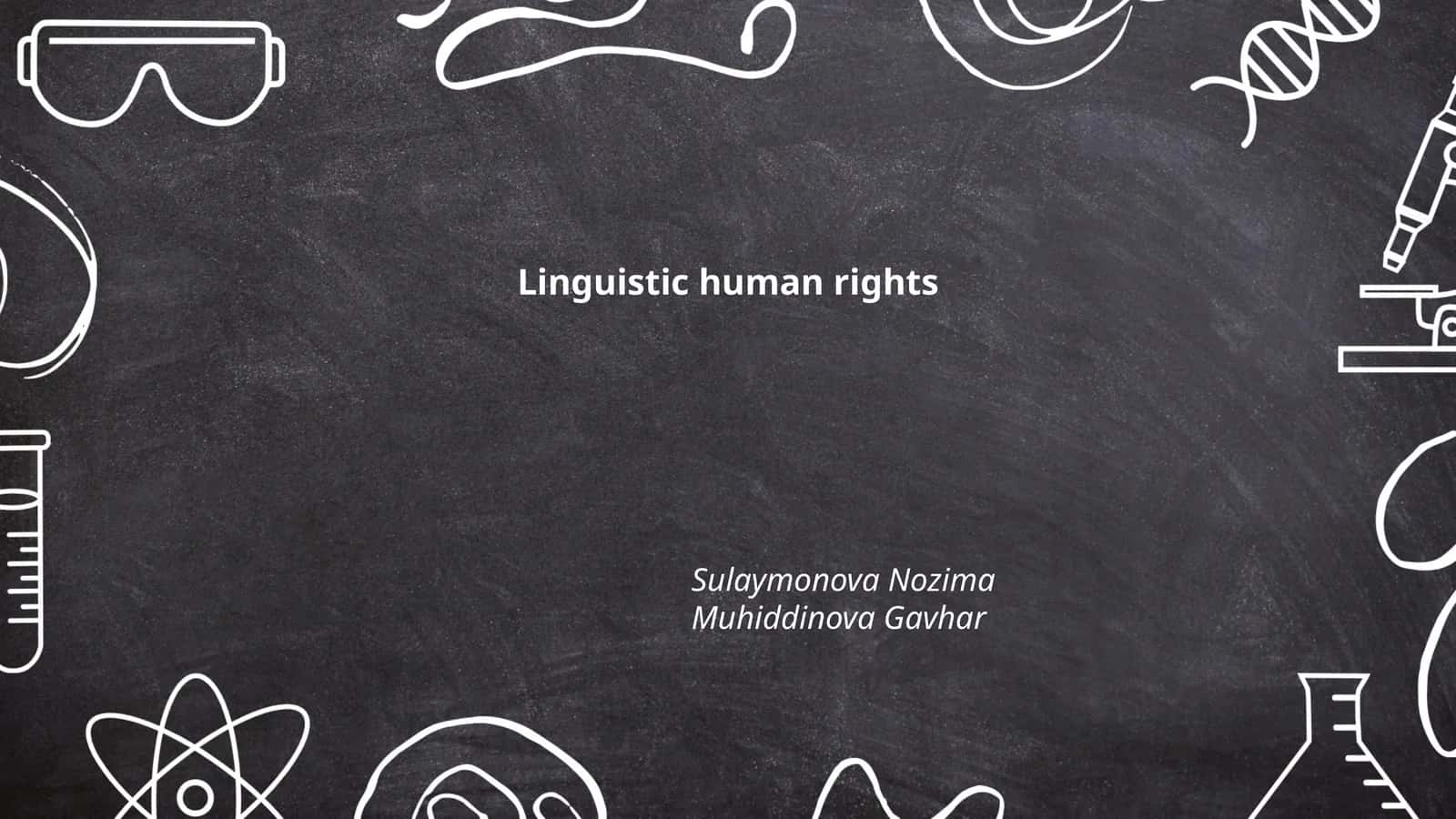 Linguistic Human Rights