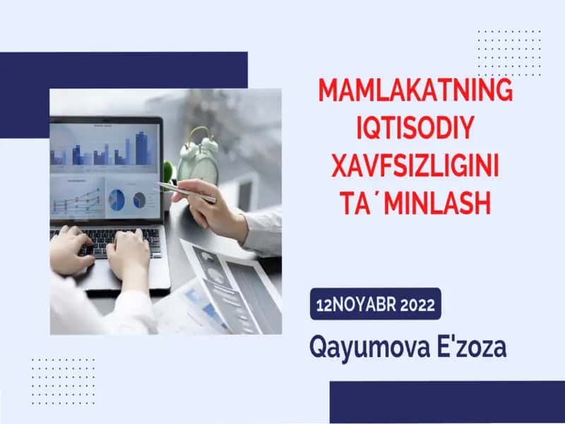 Mamlakatning iqtisodiy xavfsizligini ta’minlash
