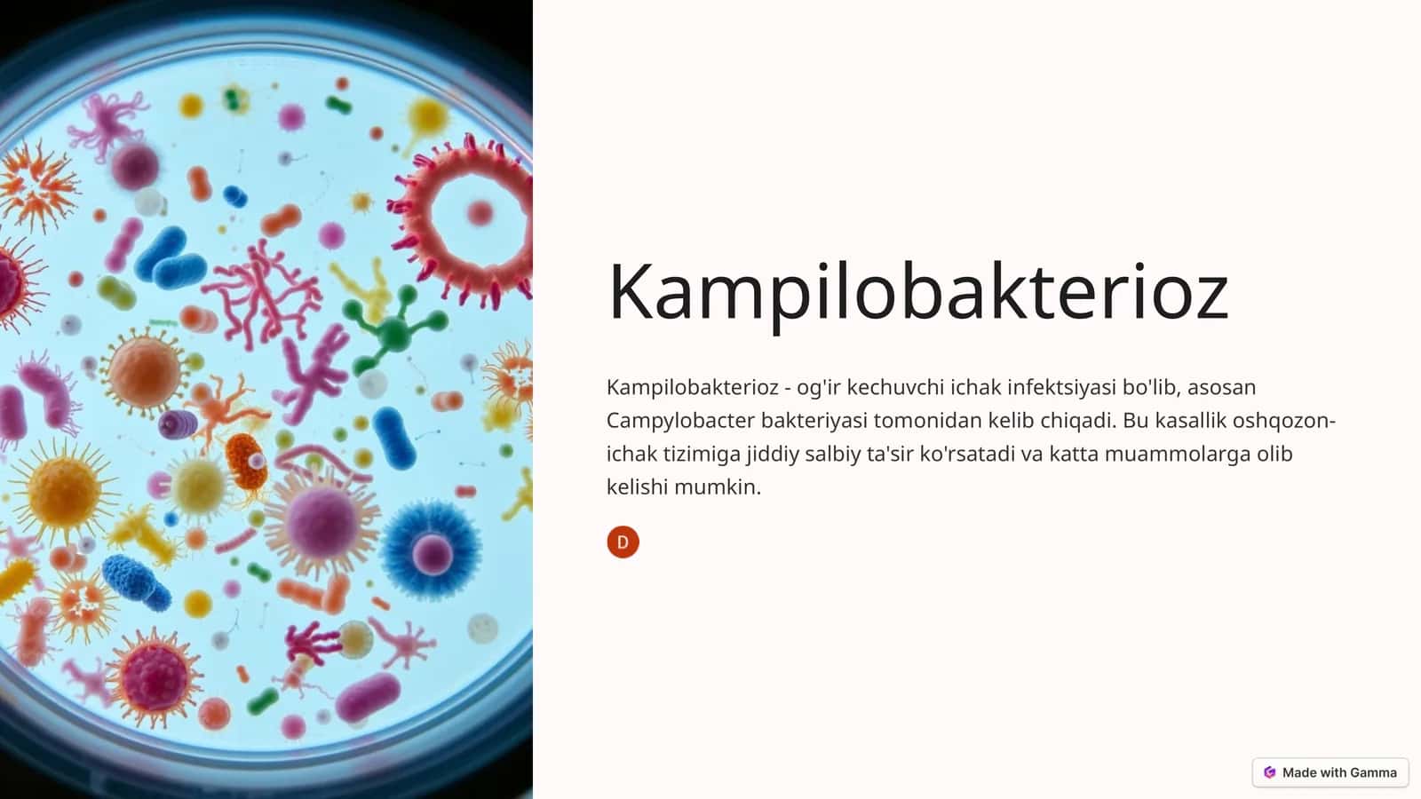 Kampilobakterioz