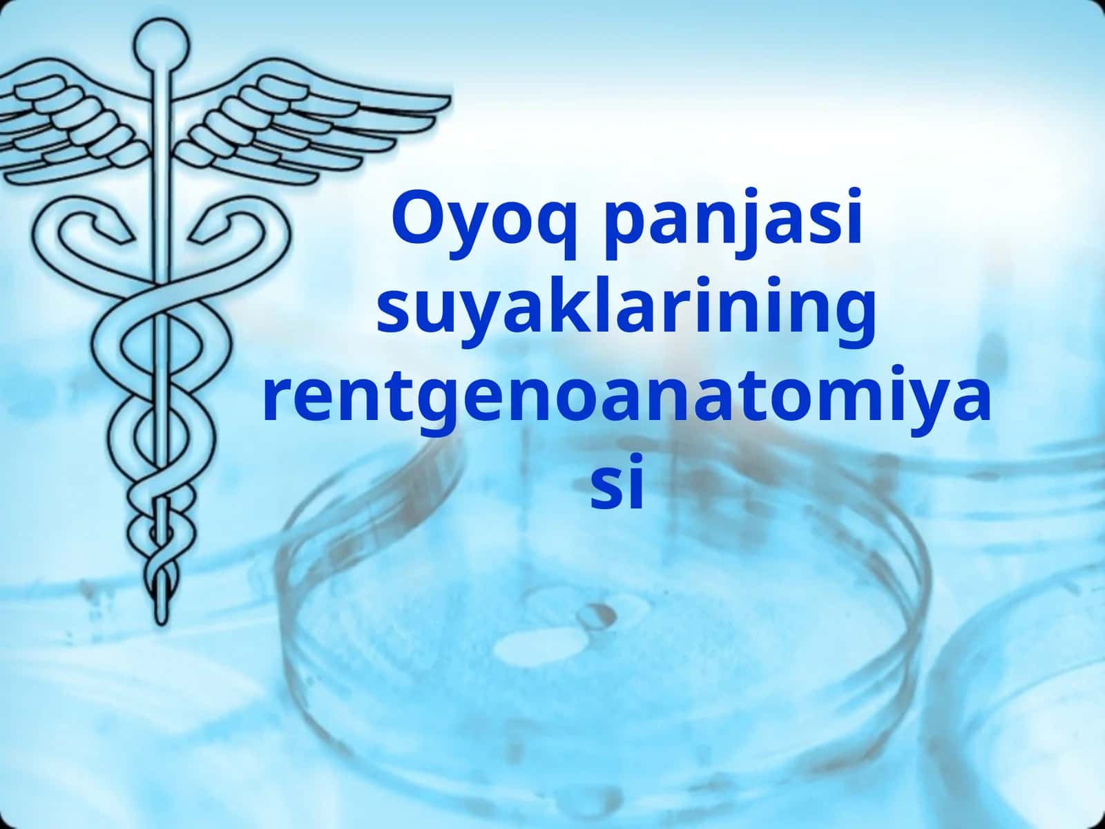 Oyoq panjasi suyaklarining rentgenoanatomiyasi