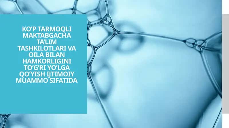Ko’p tarmoqli maktabgacha ta’lim tashkilotlari va oila bilan hamkorligini to’g’ri yo’lga qo’yish ijtimoiy muammo sifatida