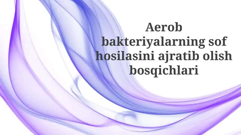 Aerobbakteriyalarningsofhosilasiniajratibolishbosqichlari
