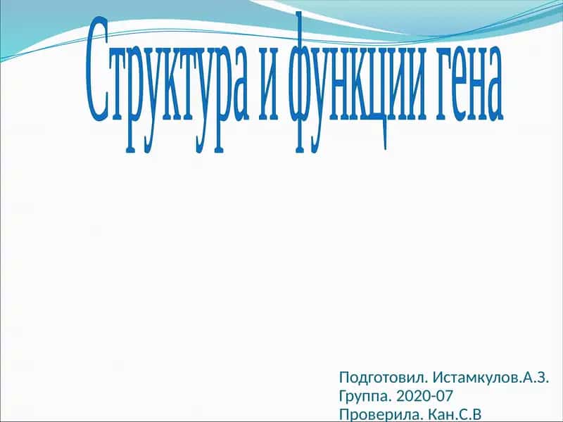 Структура и функции гена