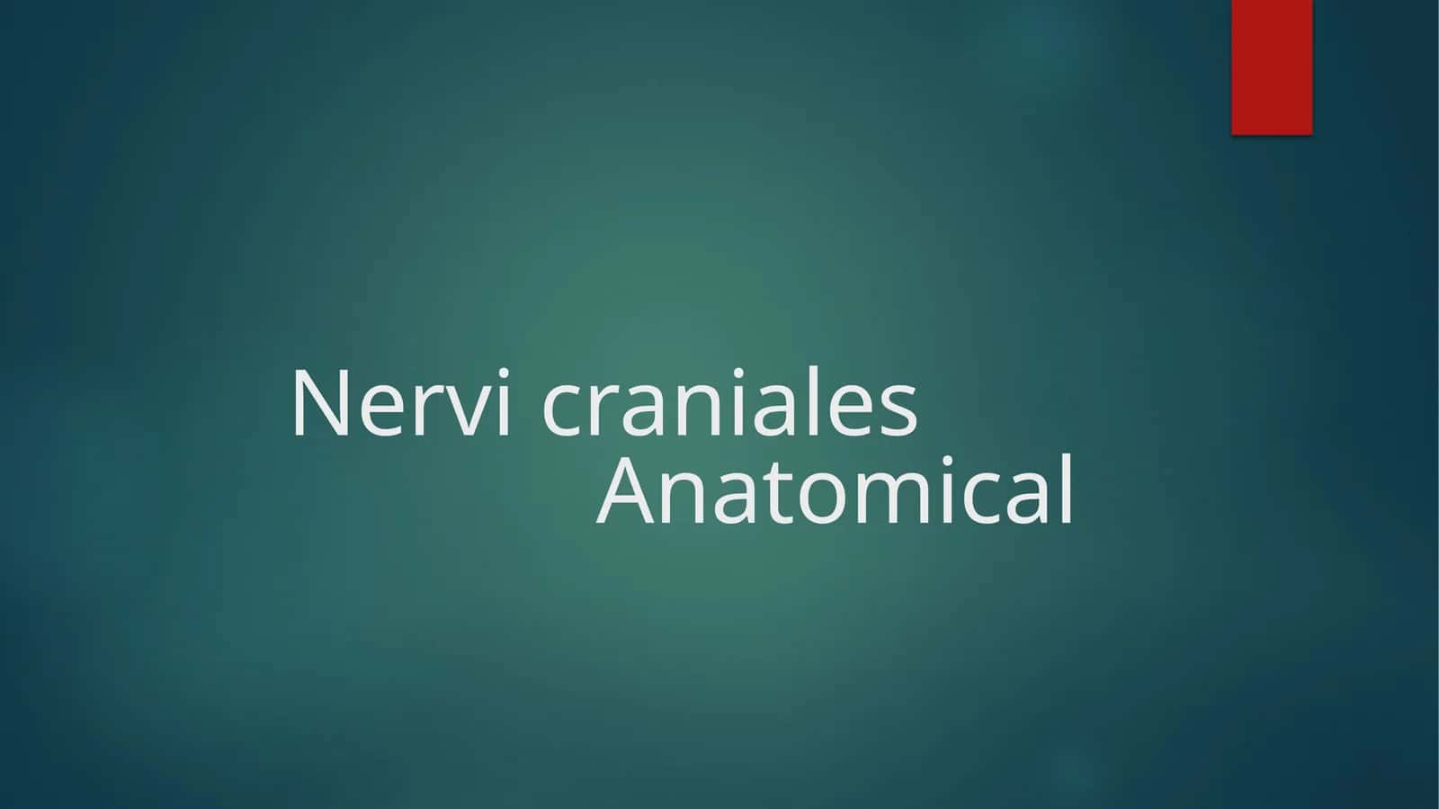 Nervic raniales Anatomical