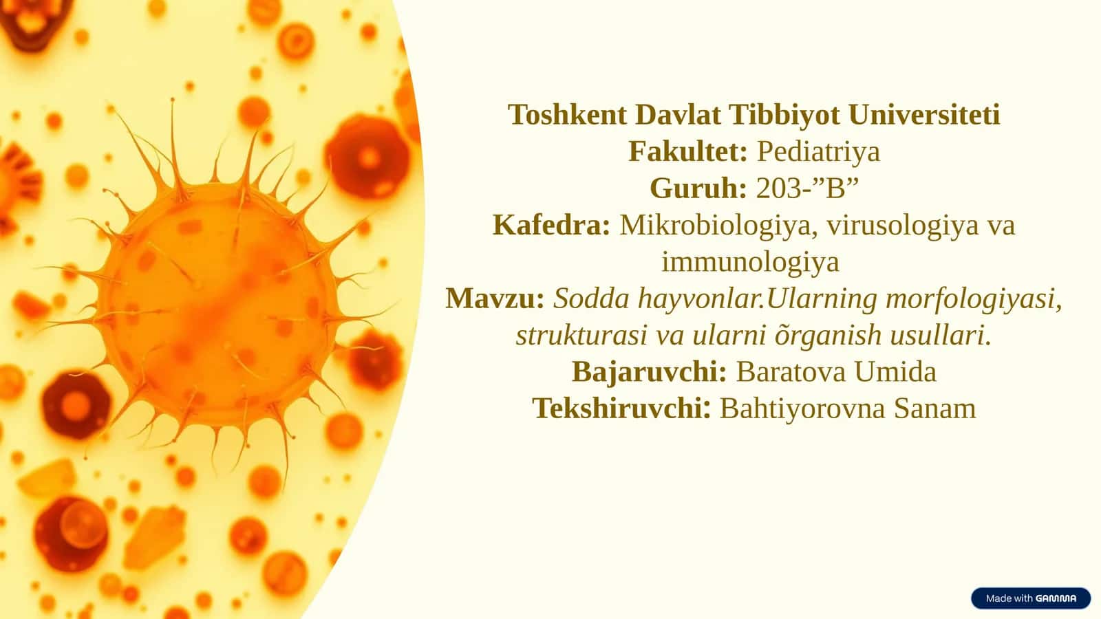 Sodda hayvonlar