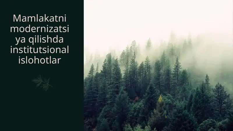 Mamlakatni modernizatsiya qilishda institutsional islohotlar