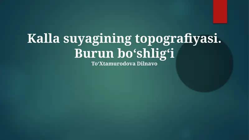 Burun Bo'shlig'i Anatomiyasi