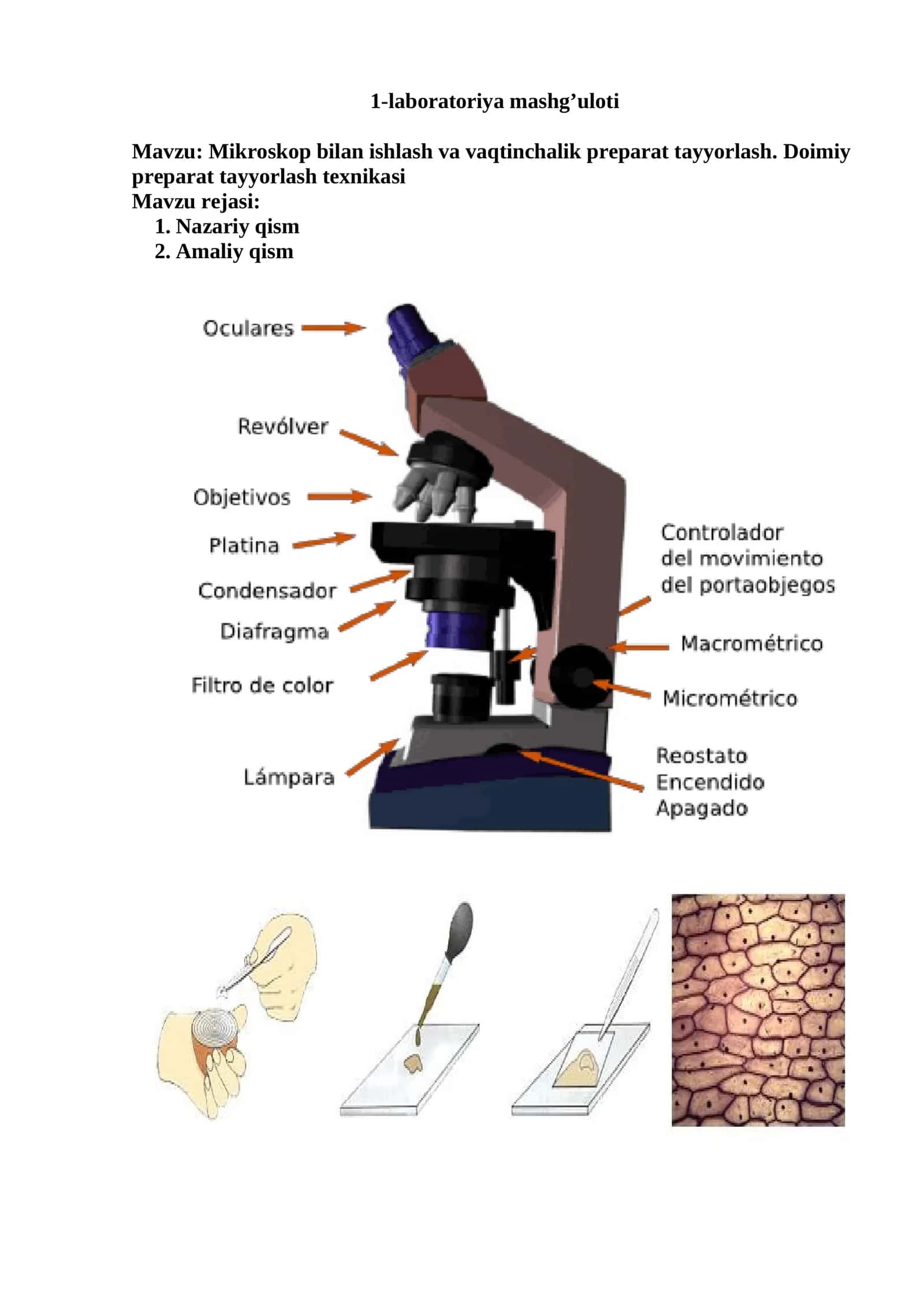 1-laboratoriya mashg’uloti