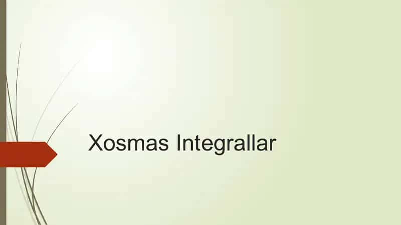 Xosmas Integrallar