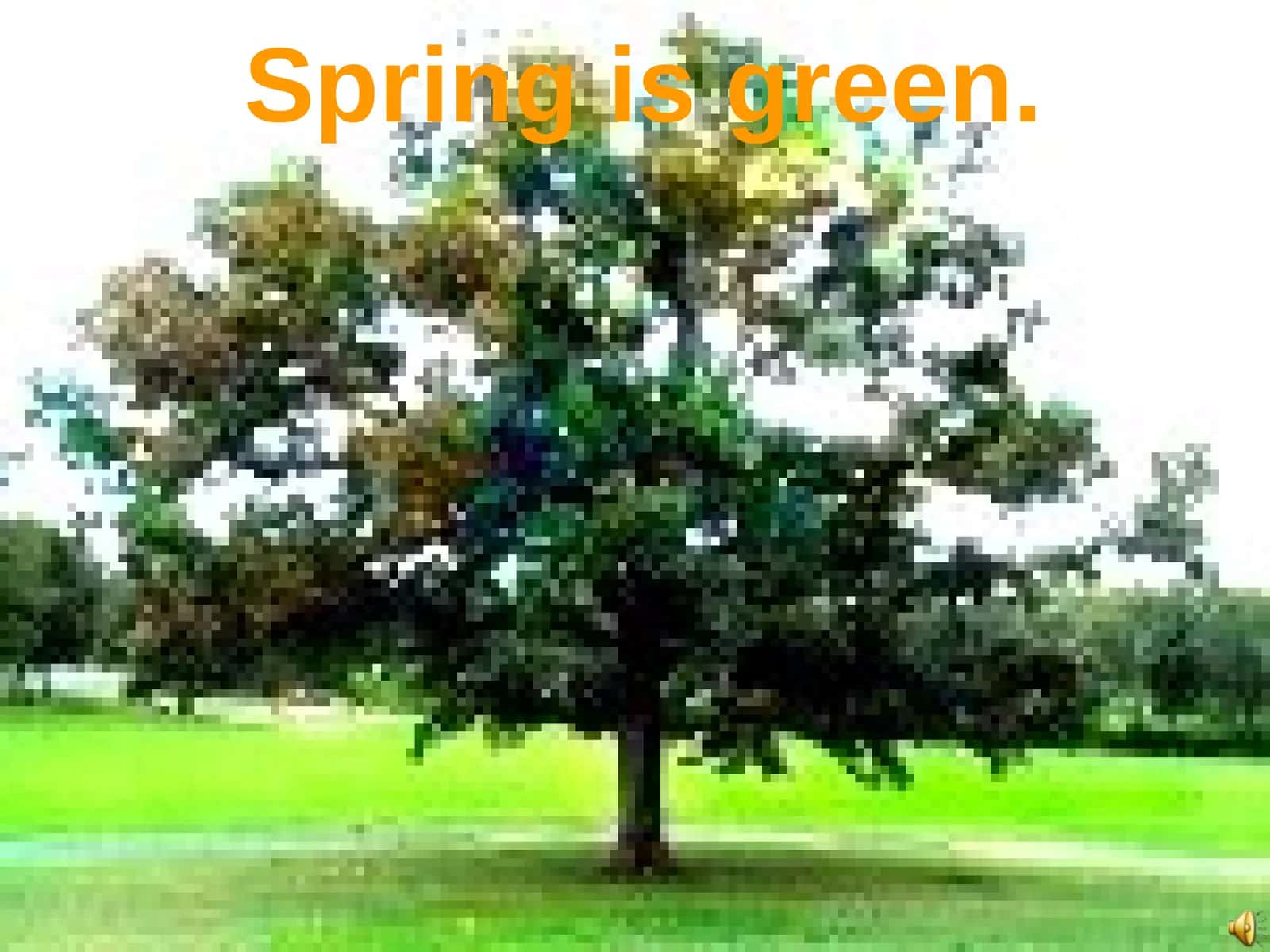 Spring Colors