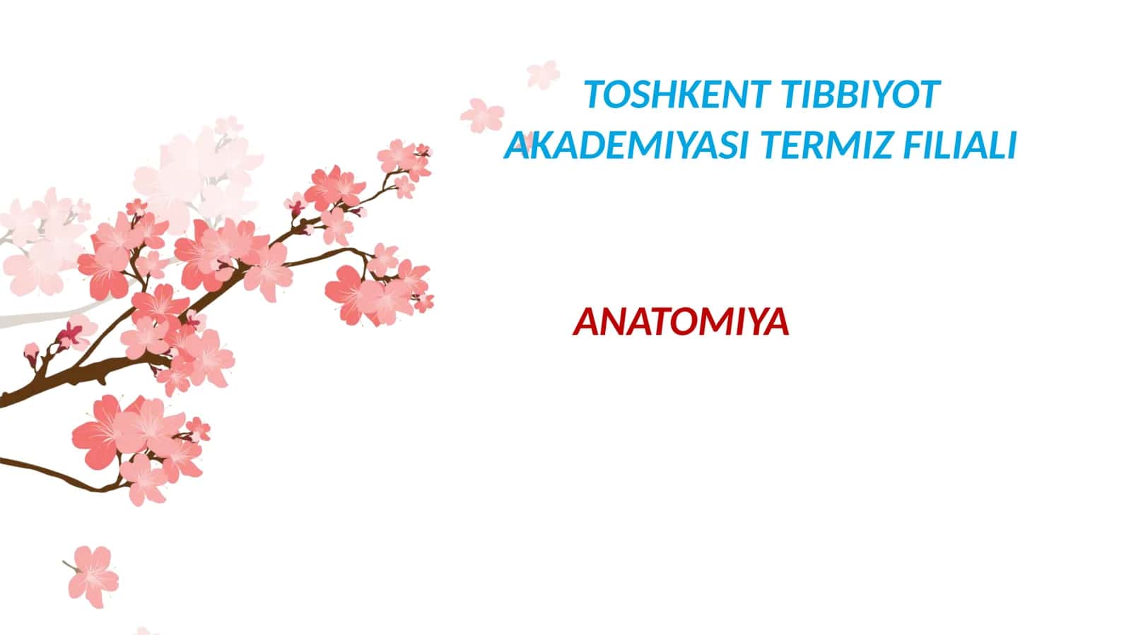 ORQAMIYASUYUQLIGI:HOSILBOʻLISHI,TARKIBI,KLINIKAHAMIYATI