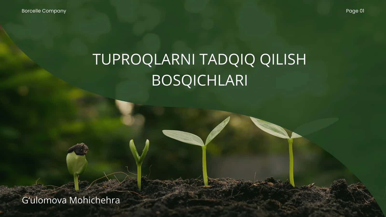 TUPROQLARNI TADQIQ QILISH BOSQICHLARI