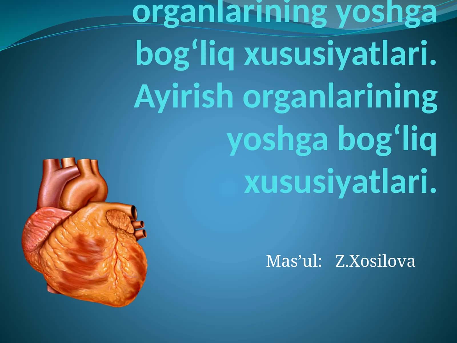 Qon va qon aylanish organlarining yoshga bog‘liq xususiyatlari