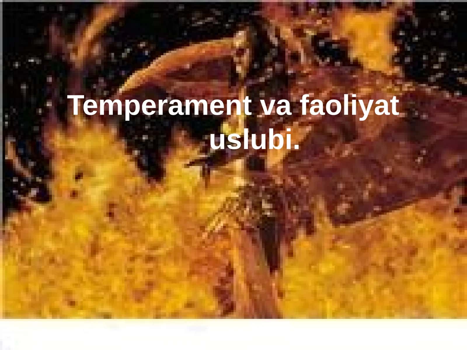 Temperament va faoliyat uslubi