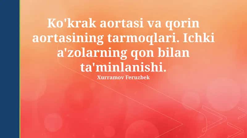 Ko'krak va qorin aortasining shoxchalari