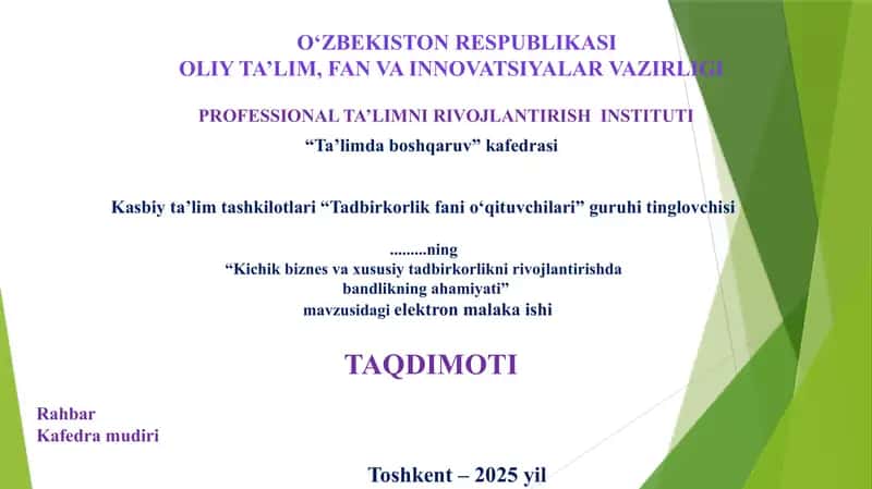 Elektron Malaka Ishi, Kichik biznes va xususiy tadbirkorlikni rivojlantirishda bandlikning ahamiyati