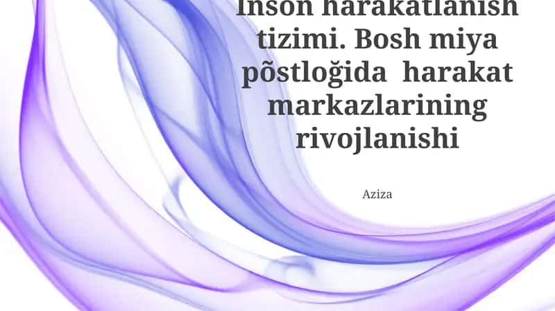 Inson harakatlanish tizimi