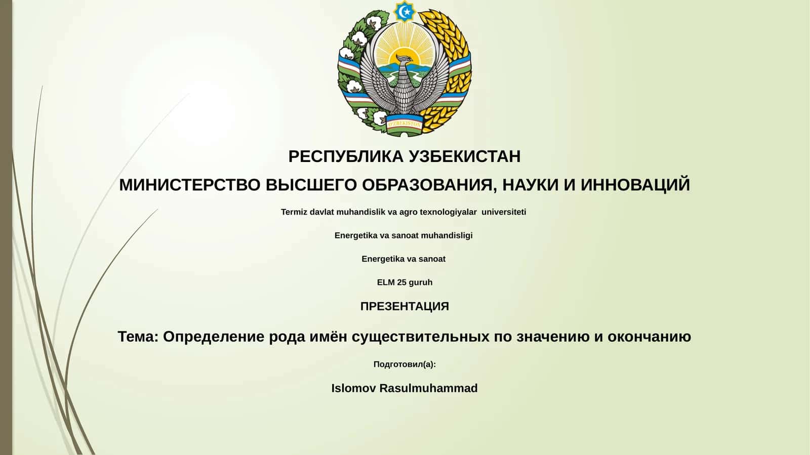 Определение рода имён существительных по значению и окончанию