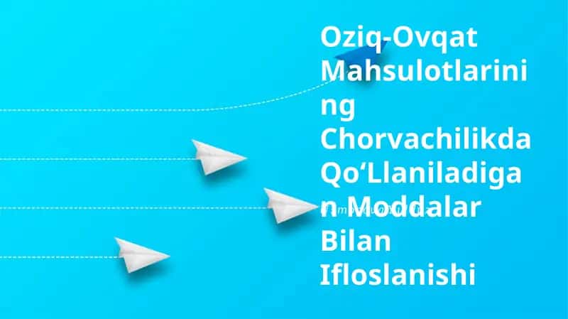 Oziq-Ovqat Mahsulotlarining Chorvachilikda Qo'Llaniladigan Moddalar Bilan Ifloslanishi