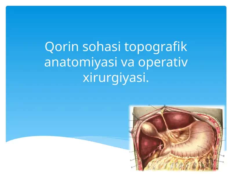 Qorin sohasi topografik anatomiyasi va operativ xirurgiyasi