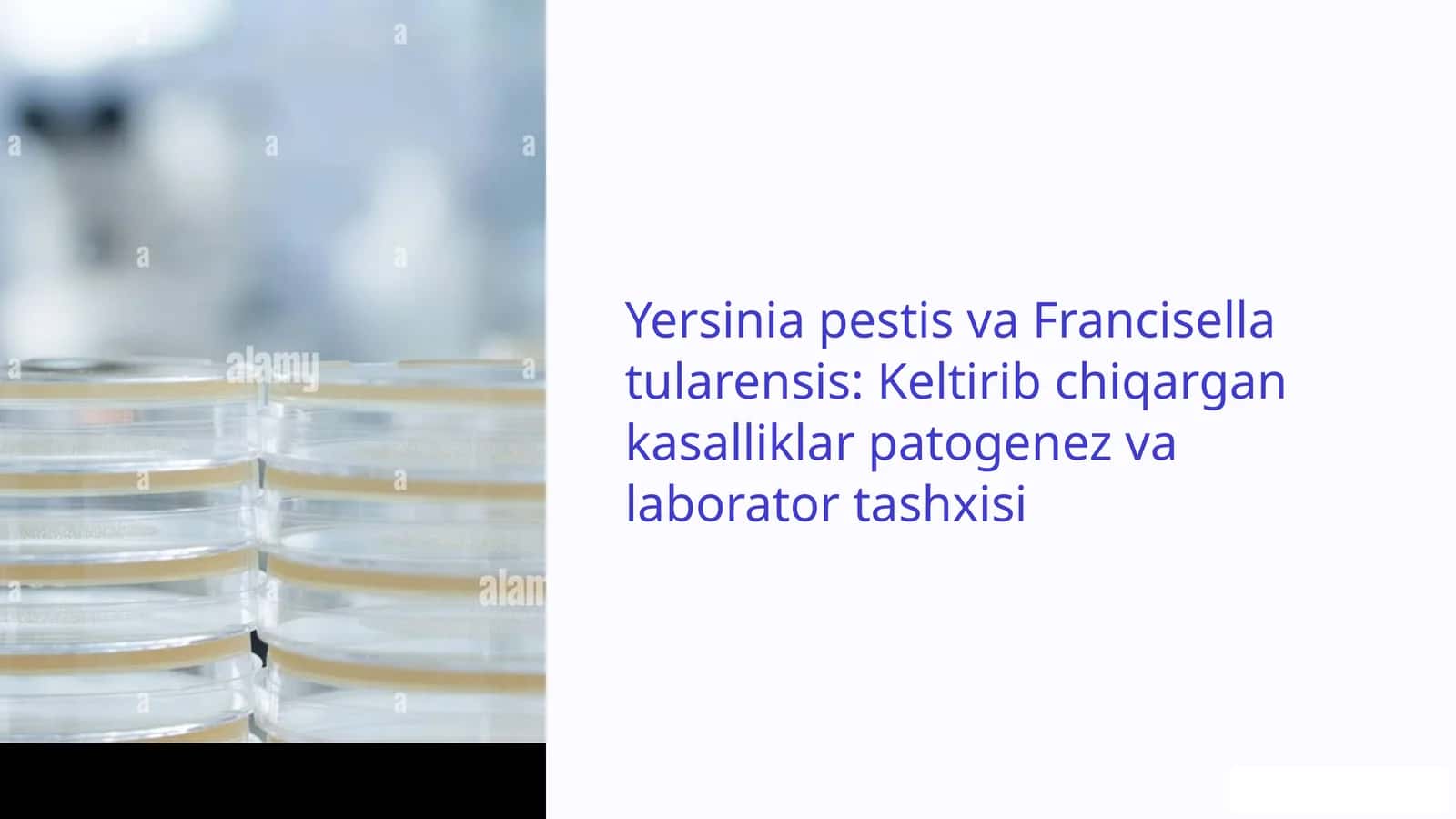 Yersinia pestis va Francisella tularensis: Keltirib chiqqan kasalliklar patogenez va laborator tashxisi