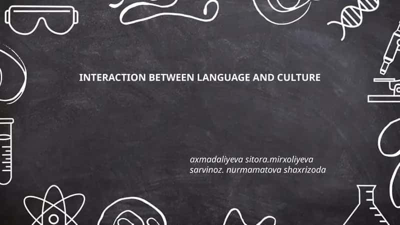 INTERACTION BETWEEN LANGUAGE AND CULTURE